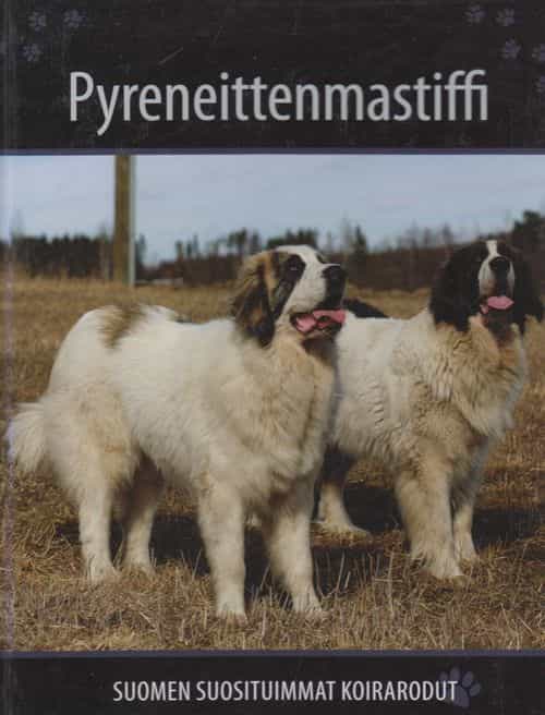 Pyreneittenmastiffi