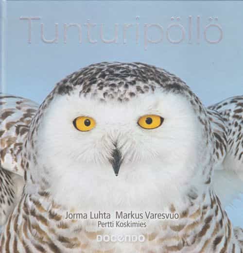 Tunturipöllö