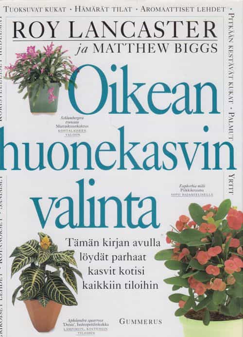 Oikean huonekasvin valinta