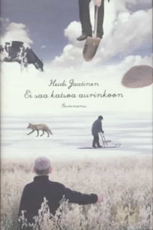 Ei saa katsoa aurinkoon