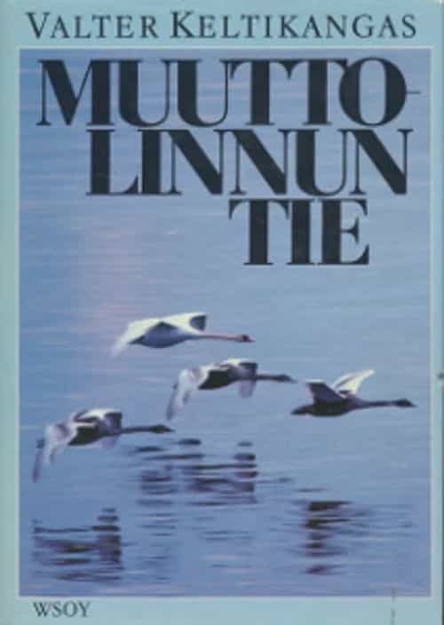 Muuttolinnun tie
