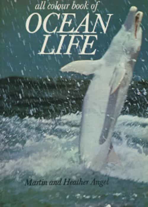 All colour book of ocean life