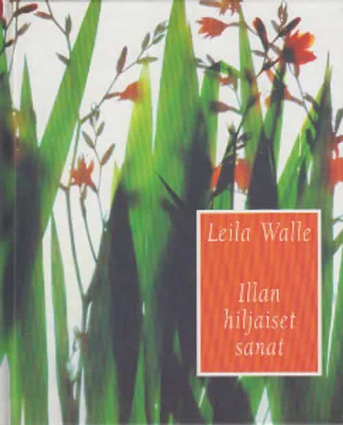 Illan hiljaiset sanat
