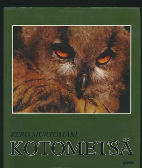 Kotometsä