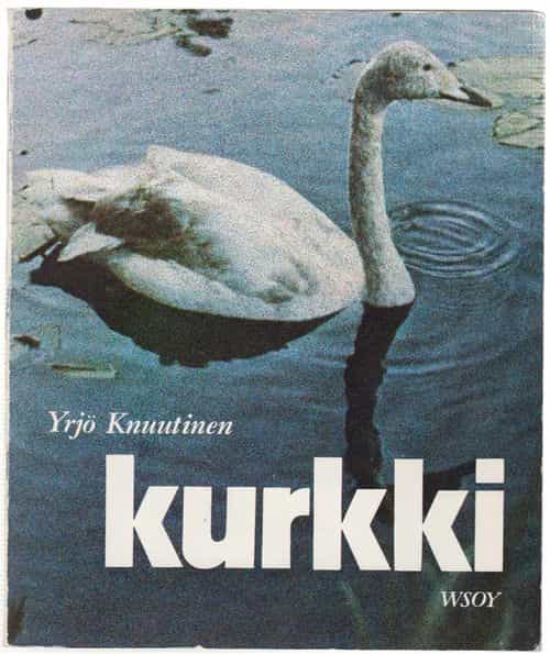 Kurkki