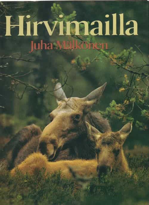 Hirvimailla